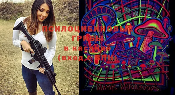 экстази Бородино